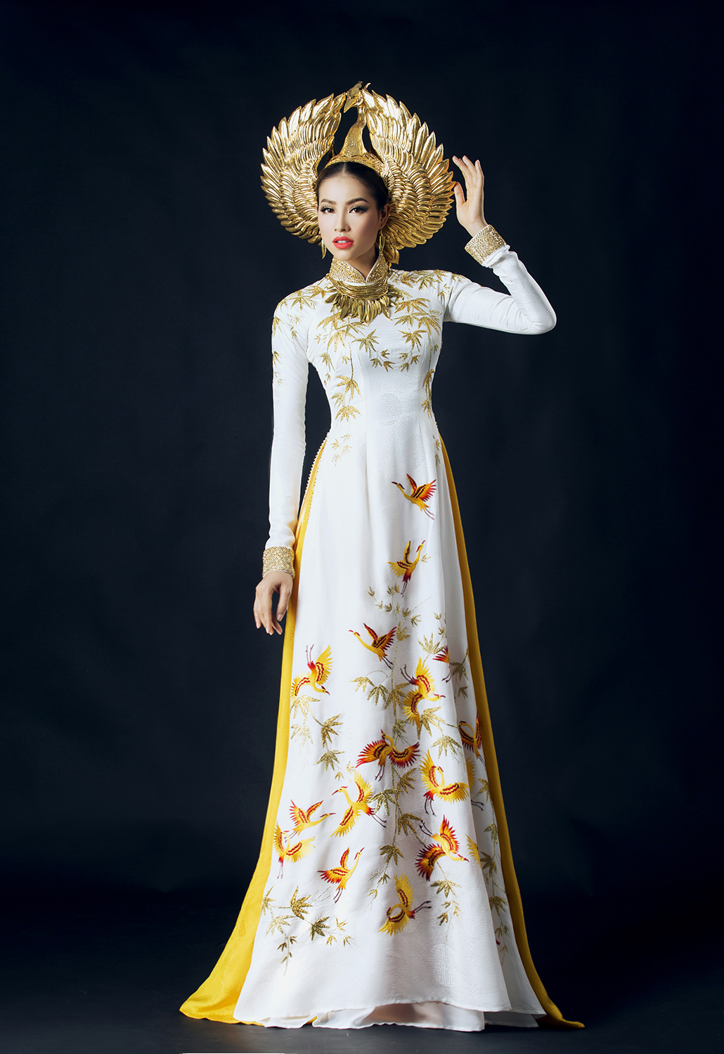 Customized aodai vietnam cloth – Ao Dai Vietnam Dress Bewertung und Preis